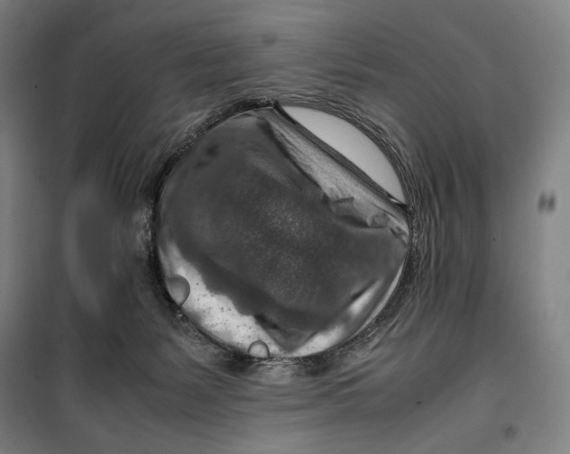 X0000099530127200806061440