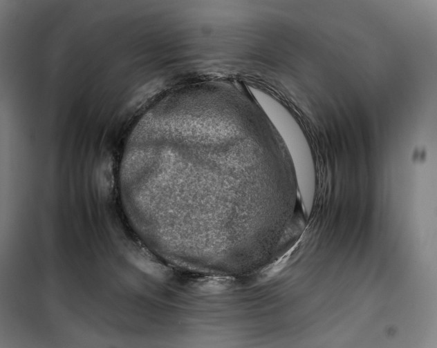 X0000099530128200806061440