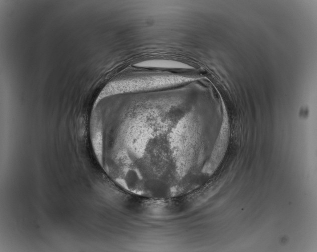 X0000099530131200806061440