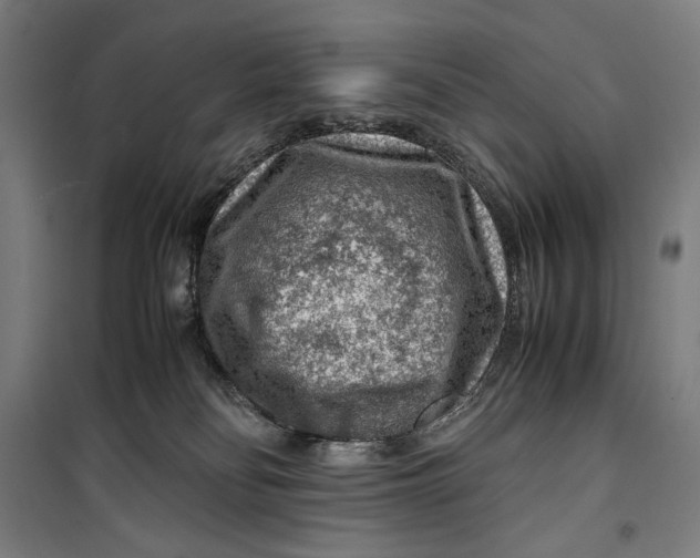 X0000099530134200806061440