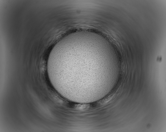 X0000099530135200806061440