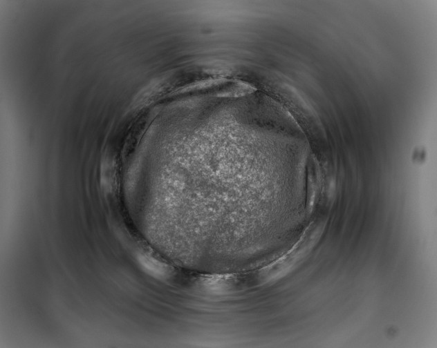 X0000099530136200806061440