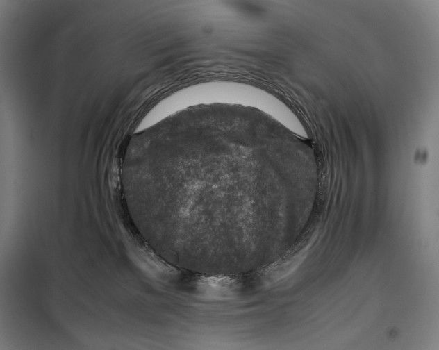 X0000099530137200806061440