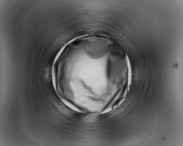 X0000099530138200806061440