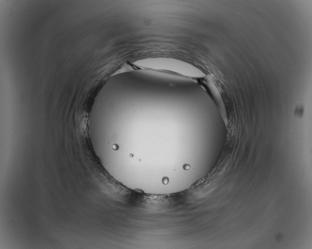 X0000099530141200806061440