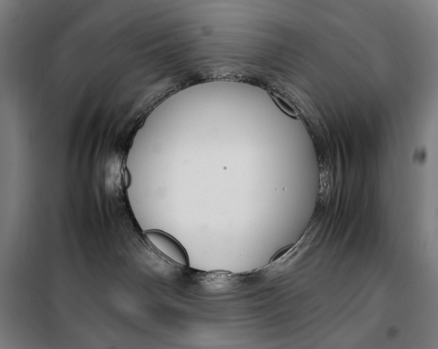 X0000099530142200806061440