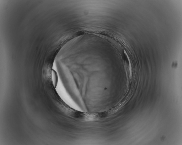 X0000099530143200806061440