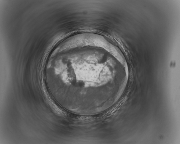 X0000099530145200806061439