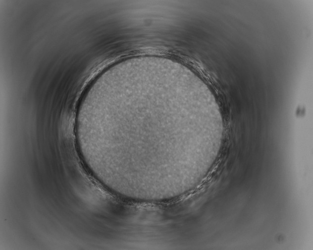 X0000099530146200806061439