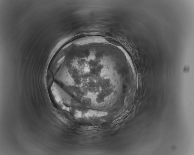 X0000099530147200806061439