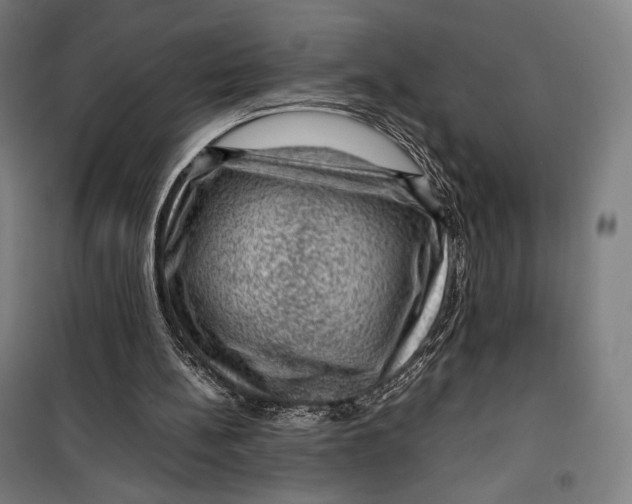 X0000099530148200806061439