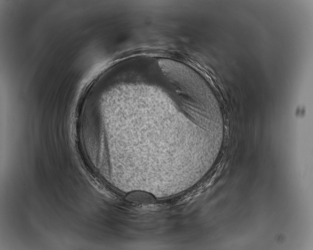 X0000099530149200806061439