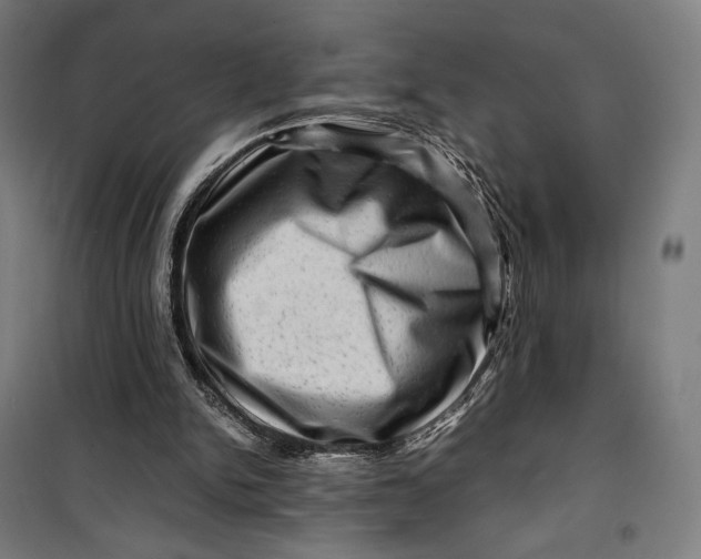 X0000099530150200806061439