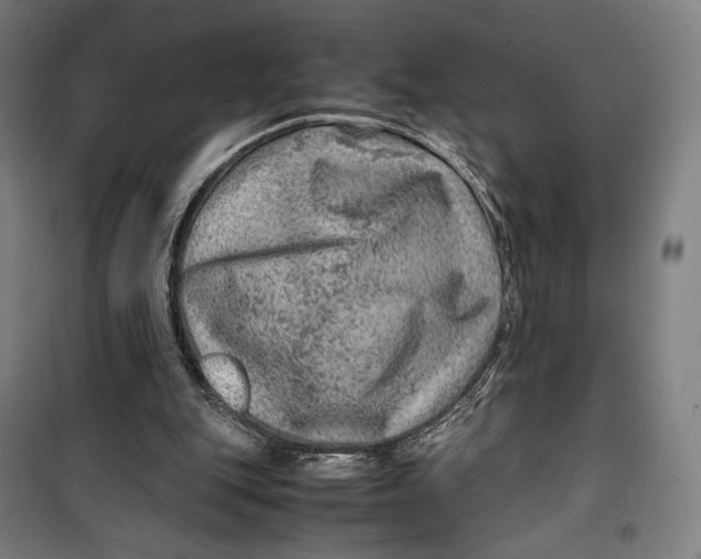 X0000099530151200806061439