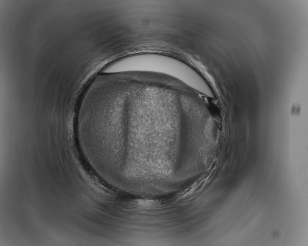 X0000099530154200806061439