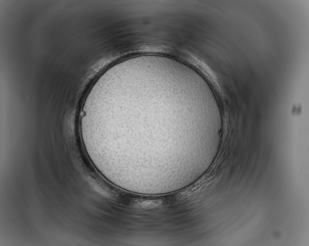 X0000099530155200806061439