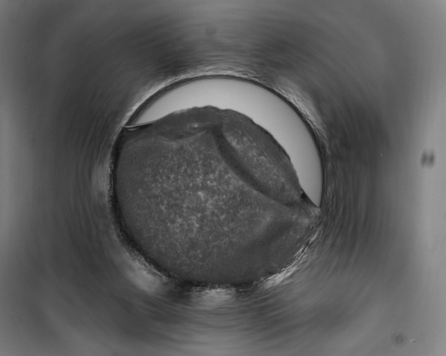 X0000099530156200806061439