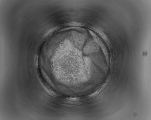 X0000099530157200806061439