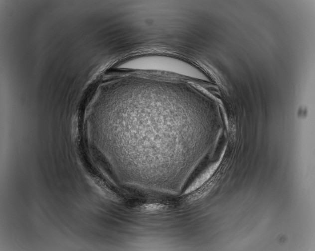 X0000099530158200806061440