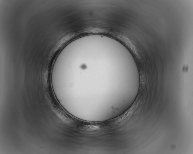 X0000099530159200806061440