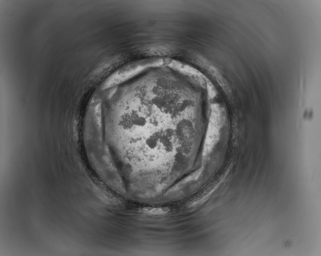 X0000099530161200806061440