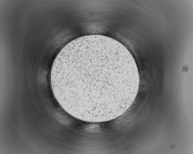 X0000099530162200806061440