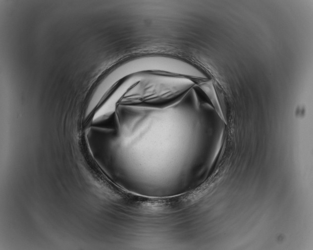 X0000099530164200806061440