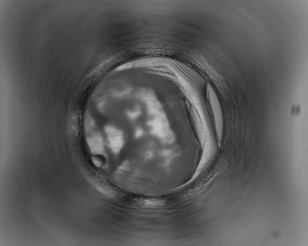 X0000099530165200806061440