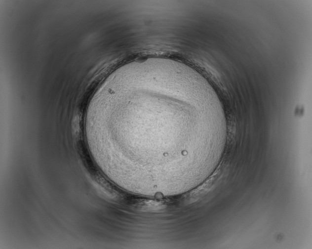 X0000099530166200806061440