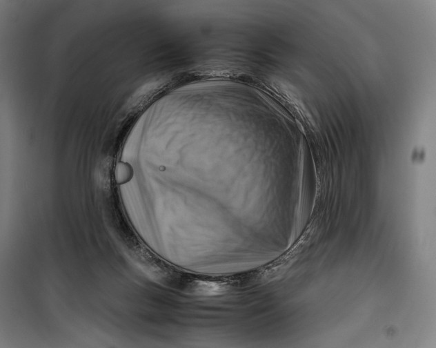 X0000099530167200806061440