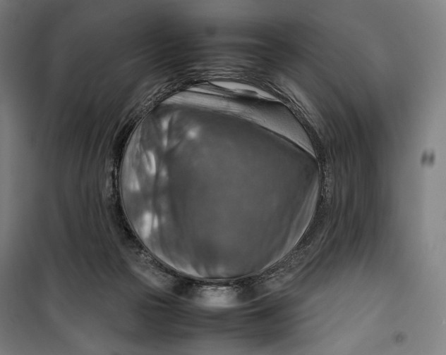 X0000099530169200806061440