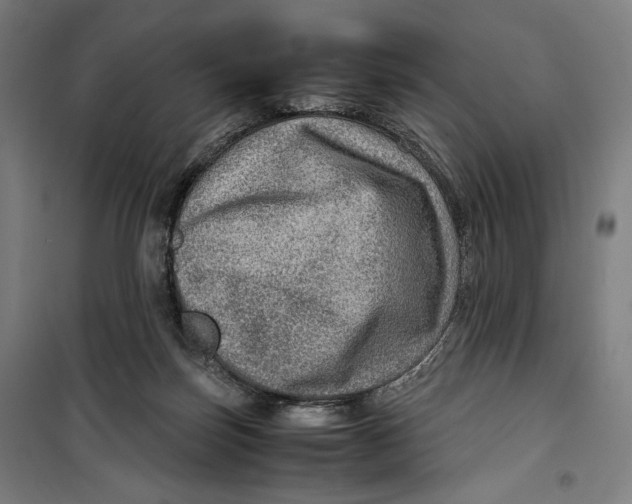 X0000099530171200806061440