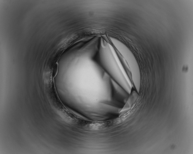 X0000099530172200806061440