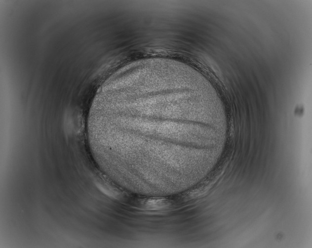 X0000099530173200806061440