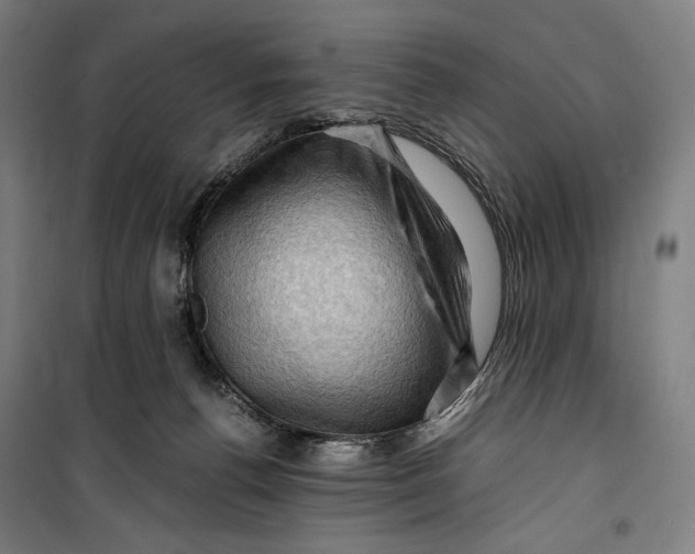 X0000099530176200806061440