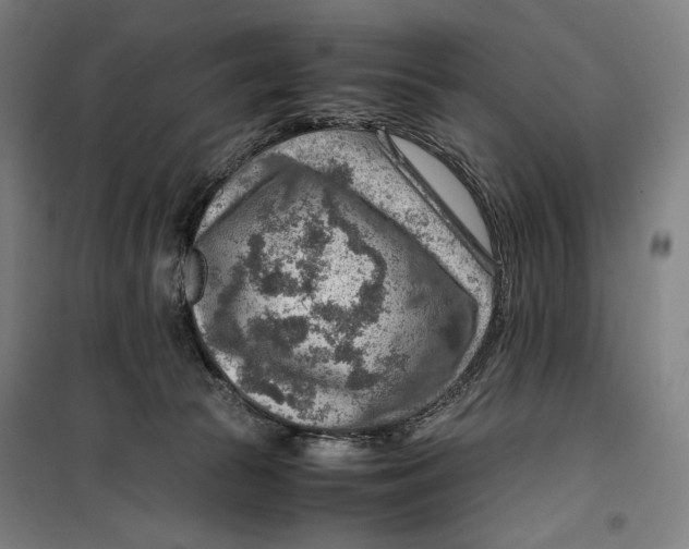 X0000099530177200806061440