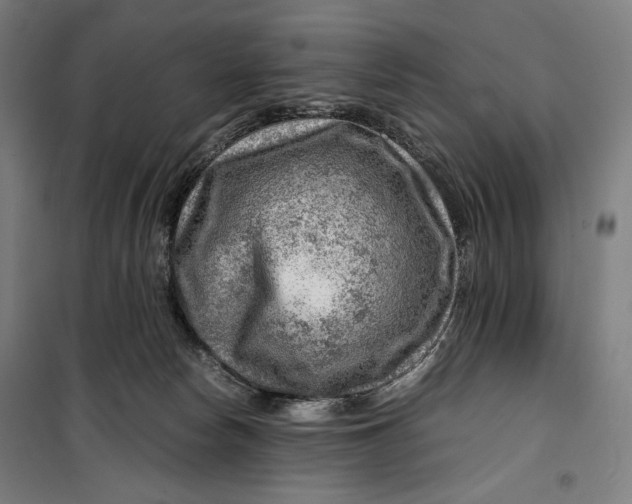 X0000099530178200806061440