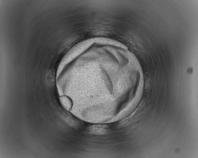 X0000099530179200806061440