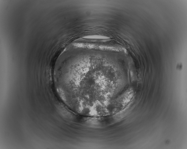 X0000099530182200806061440