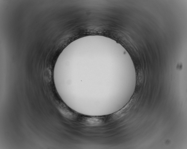 X0000099530183200806061440