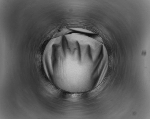 X0000099530184200806061440