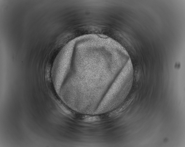 X0000099530185200806061440