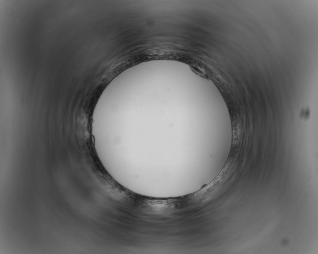 X0000099530187200806061440