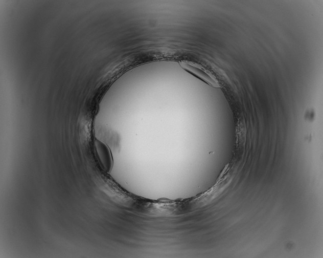 X0000099530188200806061440