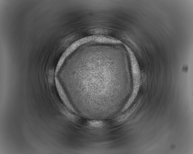 X0000099530189200806061440