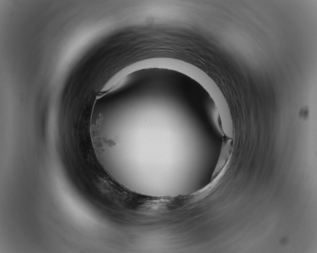 X0000099530190200806061440