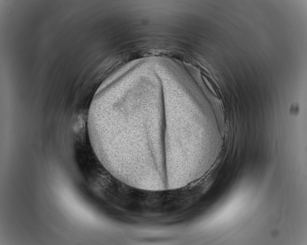 X0000099530191200806061440