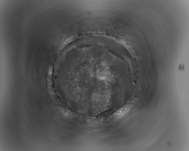 X0000099530192200806061440