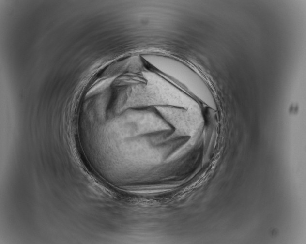 X0000099530193200806061439