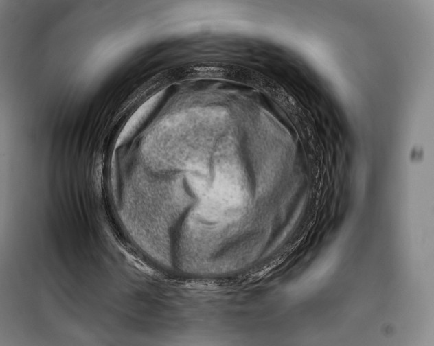 X0000099530194200806061439